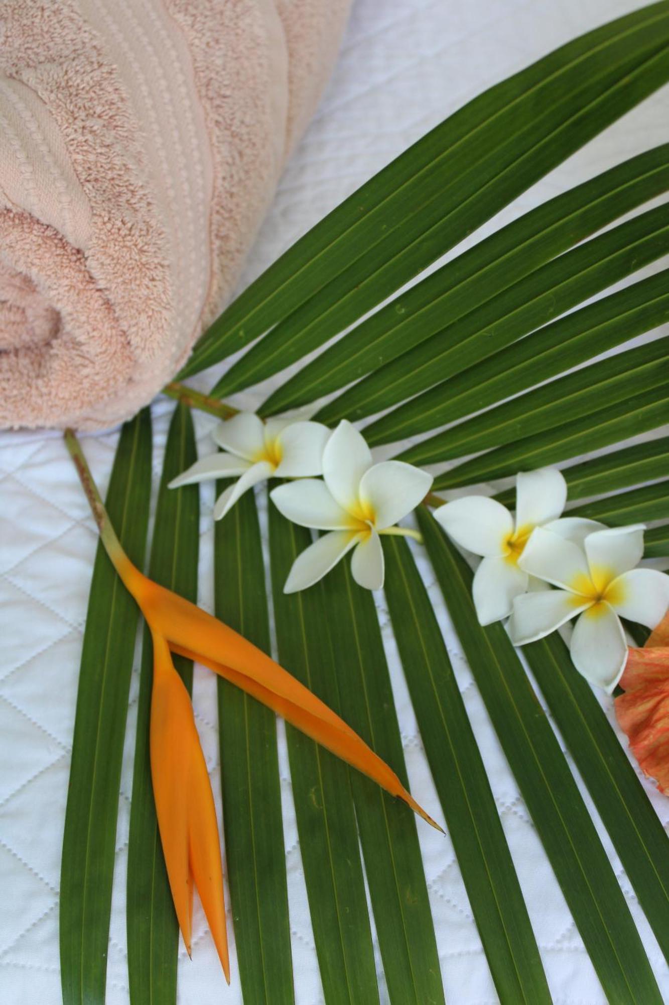 Eden Paradise Ecolodge & Spa Sainte-Luce Cameră foto