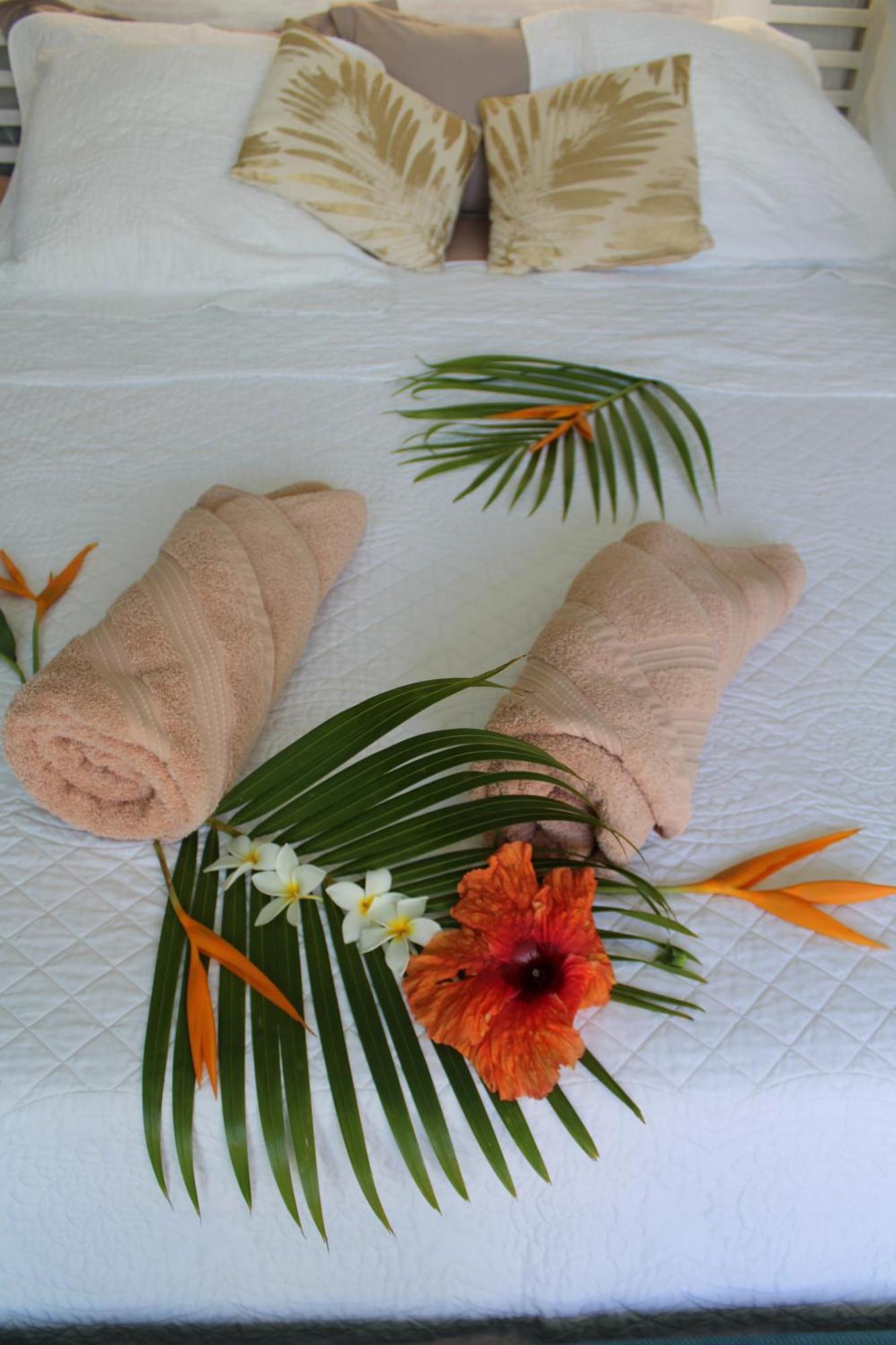 Eden Paradise Ecolodge & Spa Sainte-Luce Cameră foto